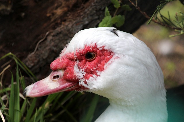 质疑他的价 质疑他的价