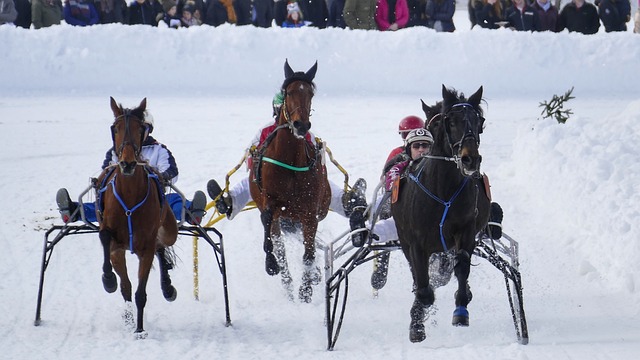 随着新人崛 随着新人崛
