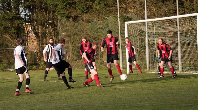 将每个队员 将每个队员