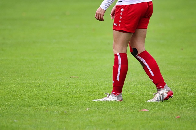 全国人民代表大会常务委员会免职名单.