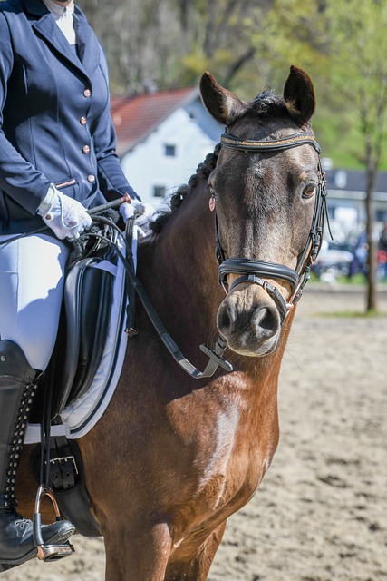 從此銘刻在 從此銘刻在