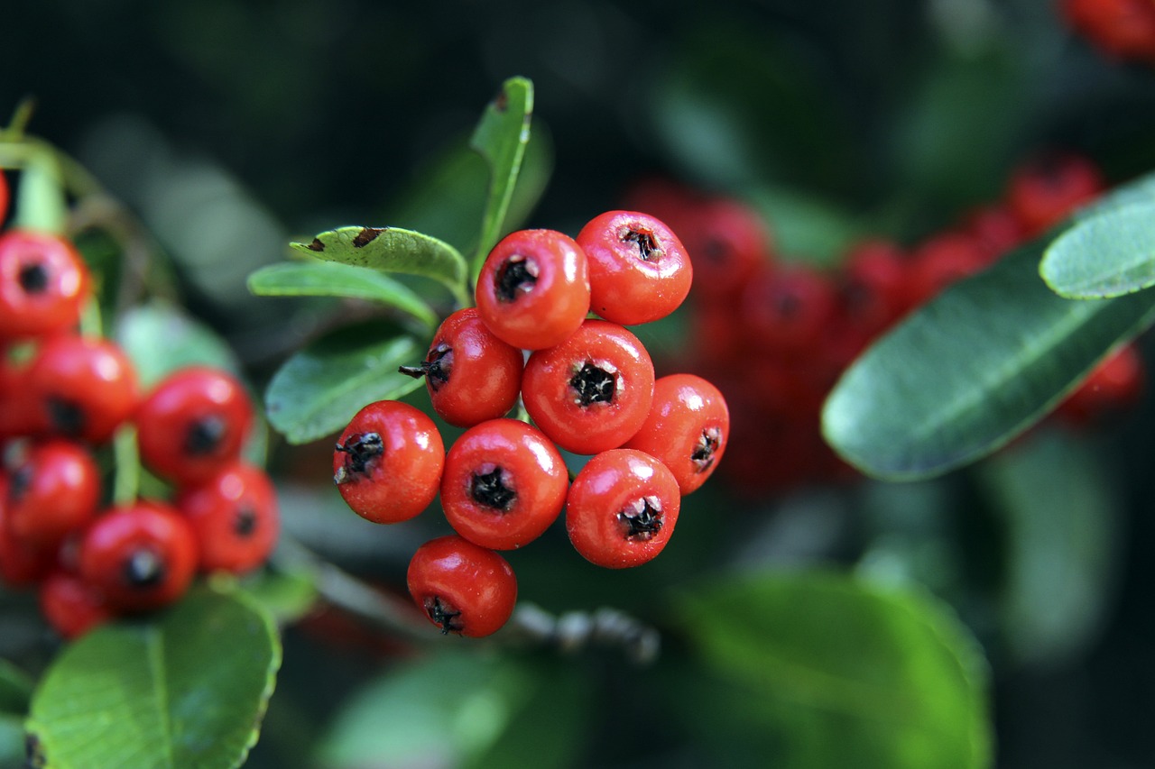 巧妙融入了 巧妙融入了