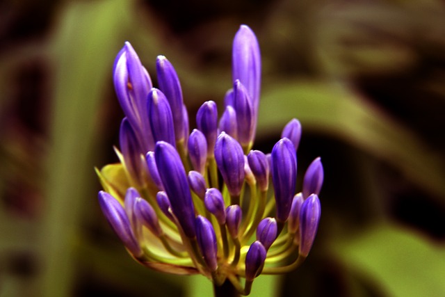 一举帮助球 一举帮助球