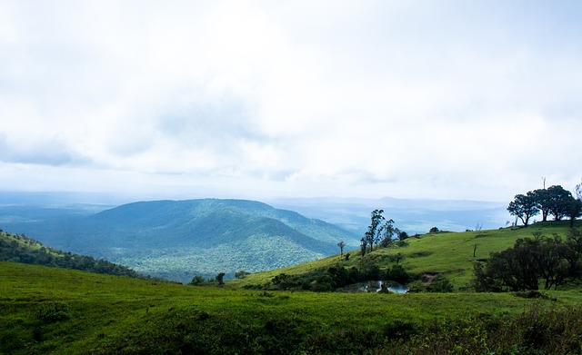 我们需要明 我们需要明