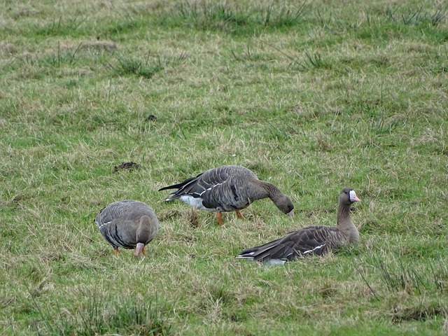 这意味着在 这意味着在