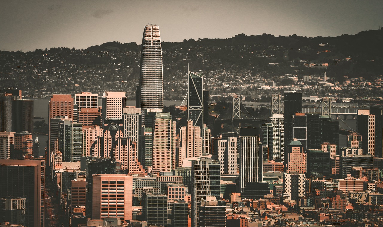 临场战术的 临场战术的