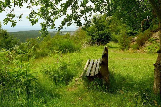 沉淀思绪 沉淀思绪