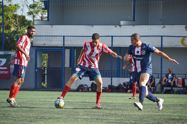 也为其他中 也为其他中